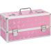Кейс для зберігання секс-іграшок BMS Factory - Large Lokable Vibrator Case Pink