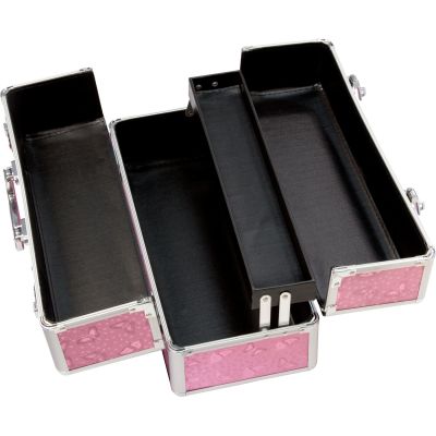 Кейс для зберігання секс-іграшок BMS Factory - Large Lokable Vibrator Case Pink Кейс для зберігання секс-іграшок BMS Factory - Large Lokable Vibrator Case Pink