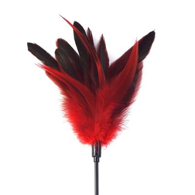Лоскітка червона Art of Sex — Feather Paddle, перо молодого півня