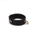 Нашийник з повідцем Liebe Seele Black Organosilicon Collar with Leash Нашийник з повідцем Liebe Seele Black Organosilicon Collar with Leash