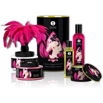 Подарунковий набір Shunga Romance Cosmetic Kit Подарунковий набір Shunga Romance Cosmetic Kit