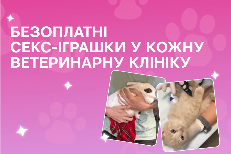 Безоплатні іграшки для тварин